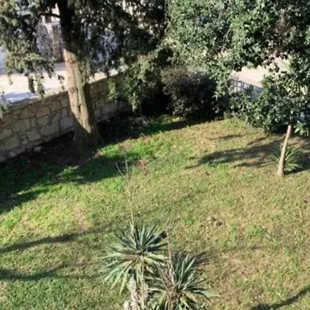 Apartman Oasis Deda Bozo *