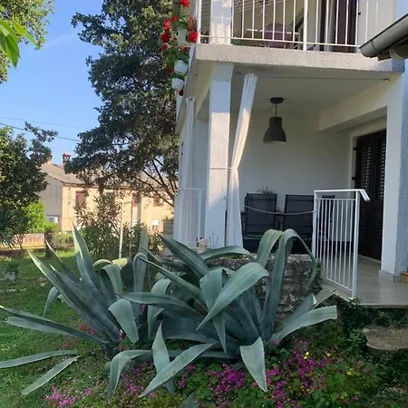 Apartman Oasis Deda Bozo *