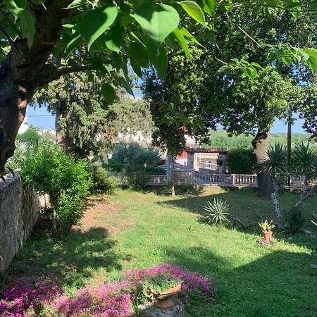 Oasis Deda Bozo Apartment Rovinj