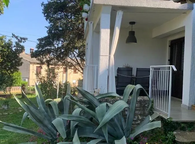 Apartman Oasis Deda Bozo *