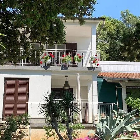 Oasis Deda Božo *